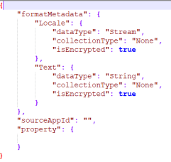 text_metadatajson.PNG