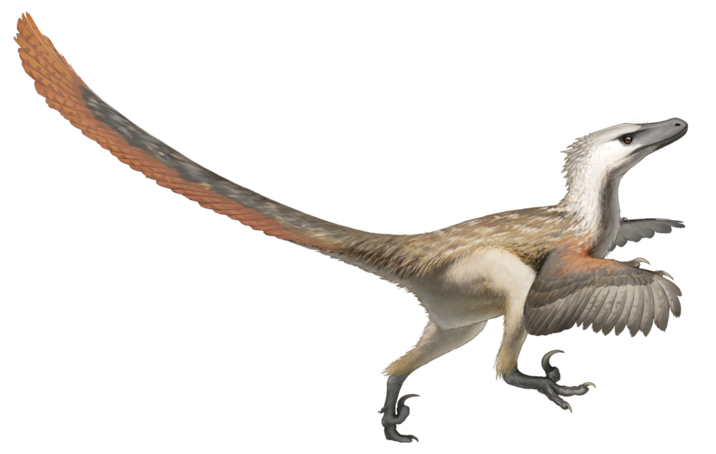 Screen Shot 2019-10-07 at 9.46.13 pm