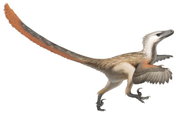 Screen Shot 2019-10-07 at 9.46.13 pm